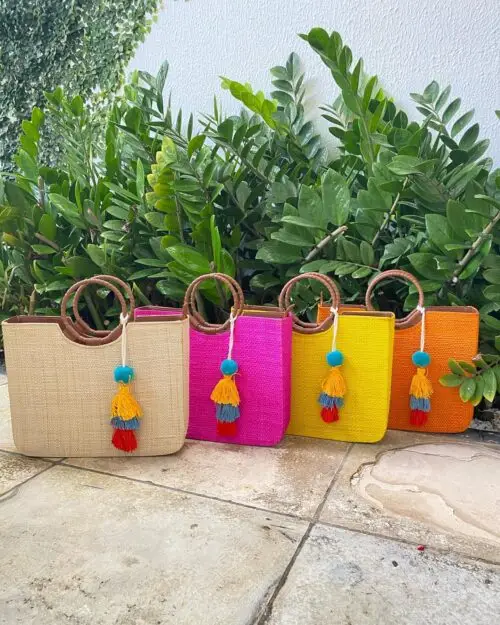Bolsa Raiz do Brasil